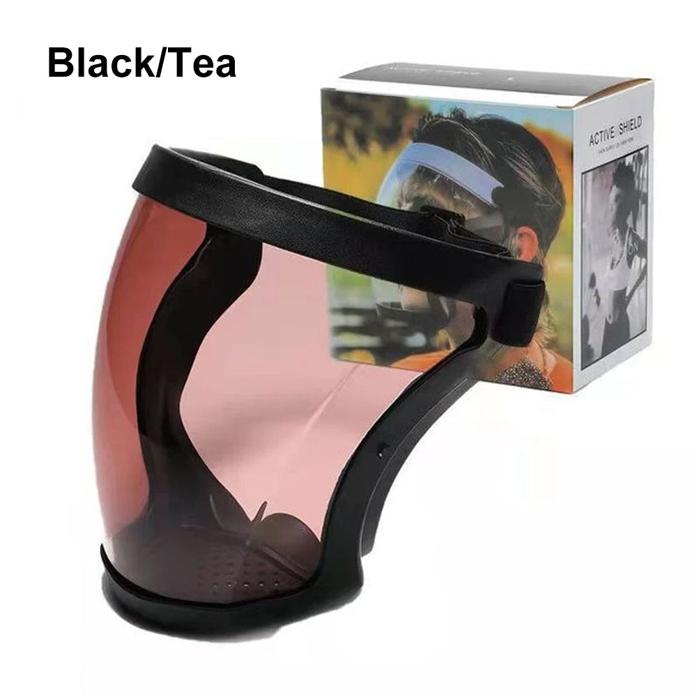 Face Shield